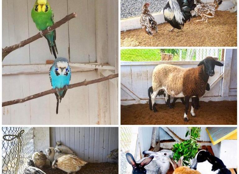 ホテル Fazenda Vale Das Pedras
