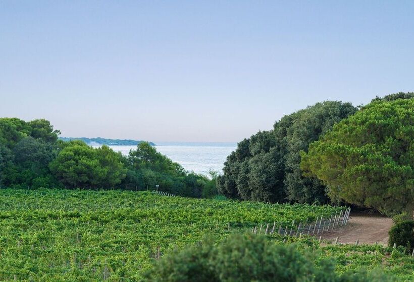 هتل Masseria Mongio Dell Elefante