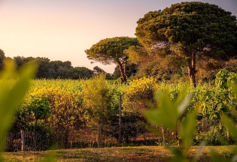 هتل Masseria Mongio Dell Elefante