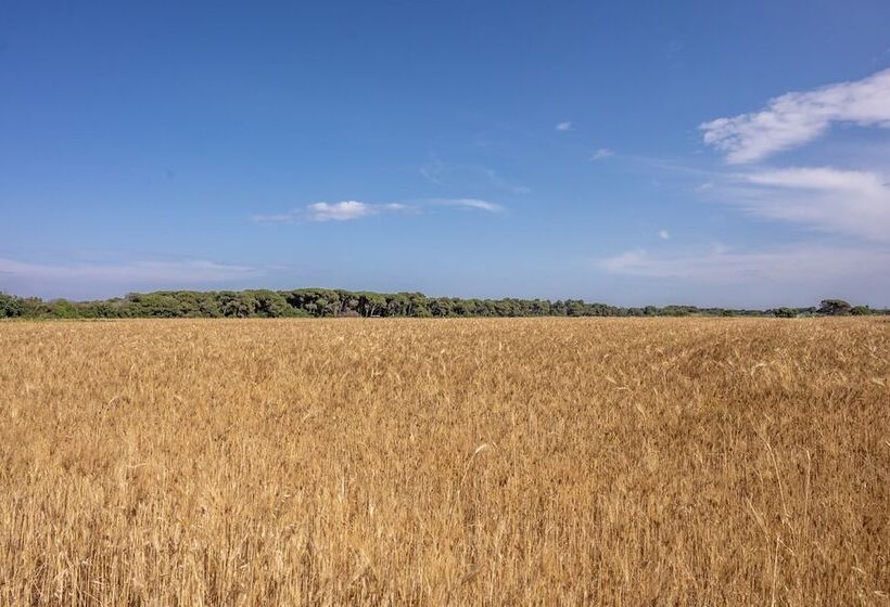 هتل Masseria Mongio Dell Elefante