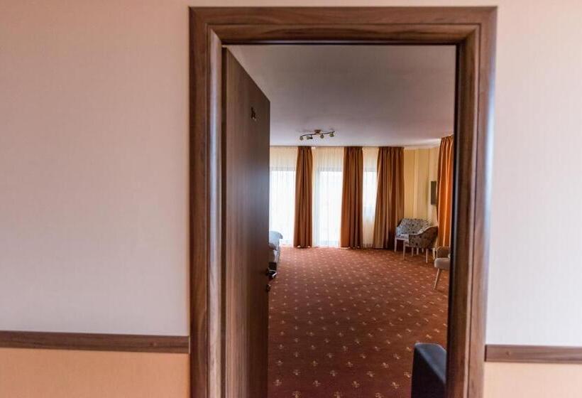 هتل Monte Carlo Reghin