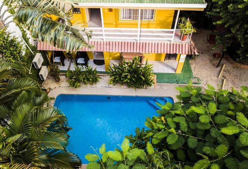 تختخواب و صبحانه Laura S House