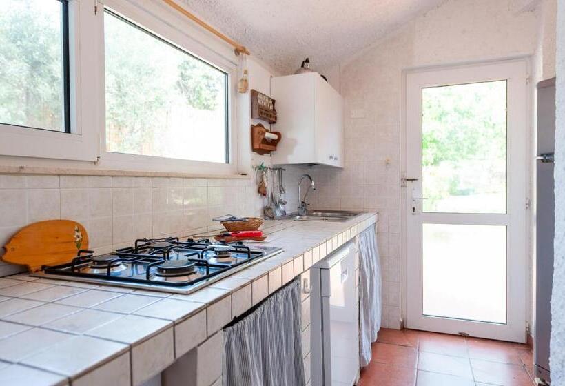 住宿加早餐  Guest House Villa Verde   Short Term Room Rentals
