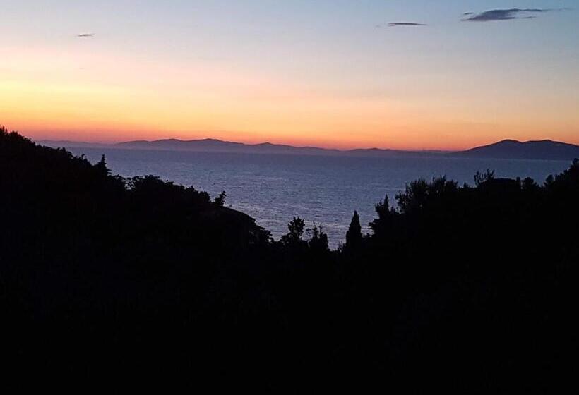 مبيت وإفطار Navarro Hill Resort