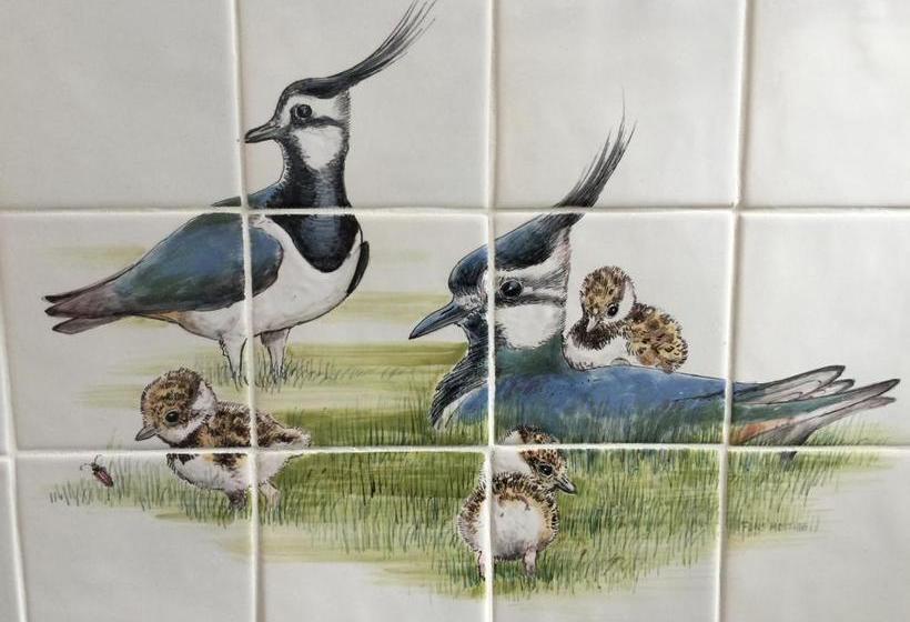 ベッドアンドブレックファースト Pension 't Huys Grol