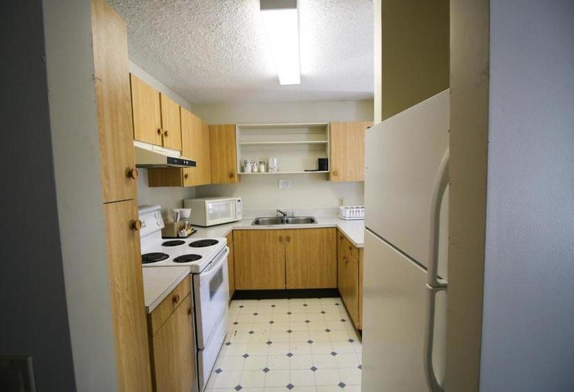 فندق على الطريق Bighorn Inn & Suites