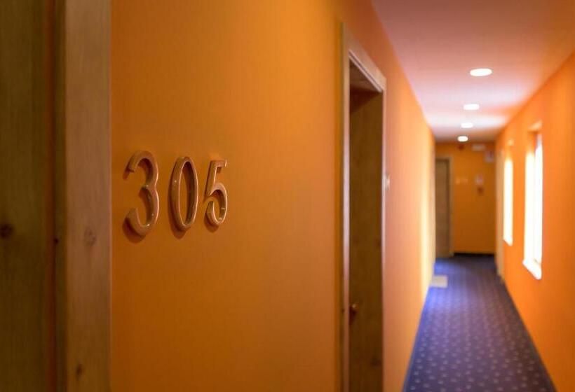 هتل Paradiso Conca D Oro