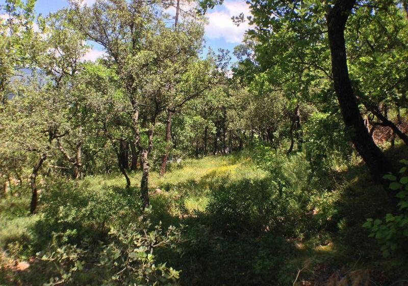 ベッドアンドブレックファースト Les Maquinols Estate