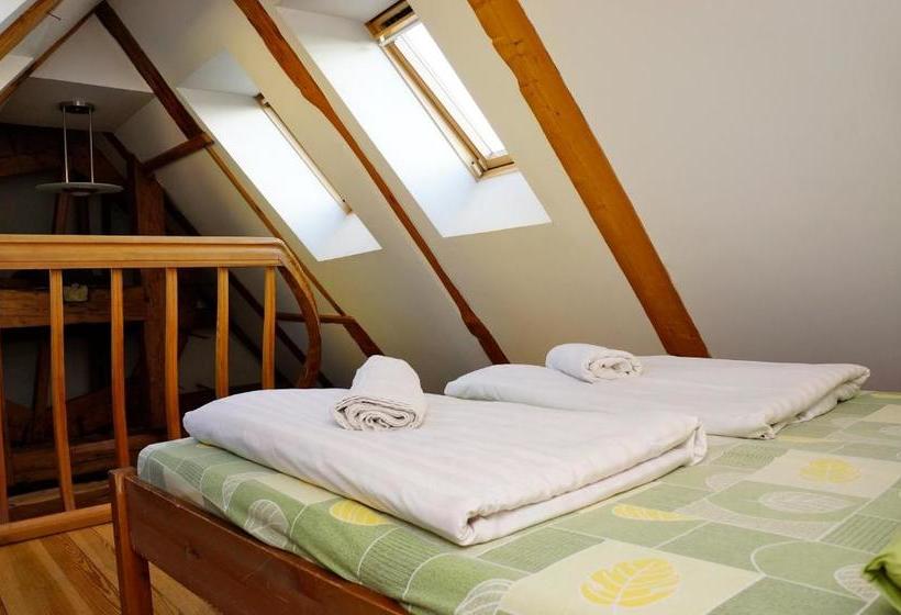 Doma Hostel
