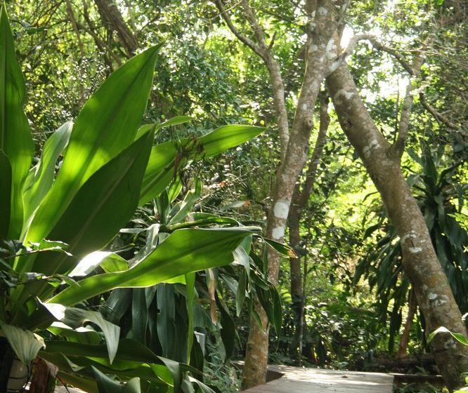 فندق Vista Alta Lodge