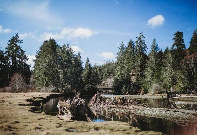 مُتل Port Hardy Cabins