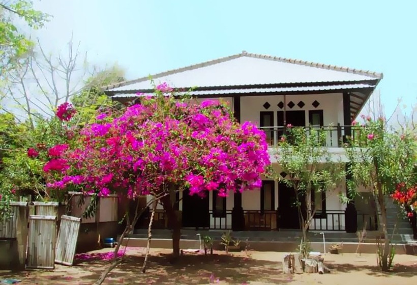 The Rabbit Tree Hostel