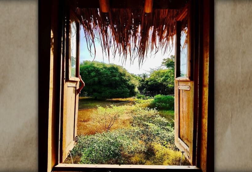 The Rabbit Tree Hostel