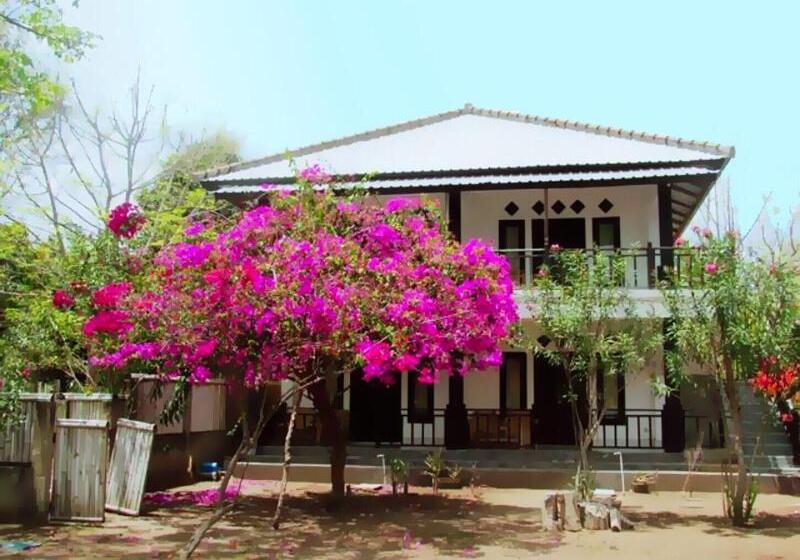 The Rabbit Tree Hostel