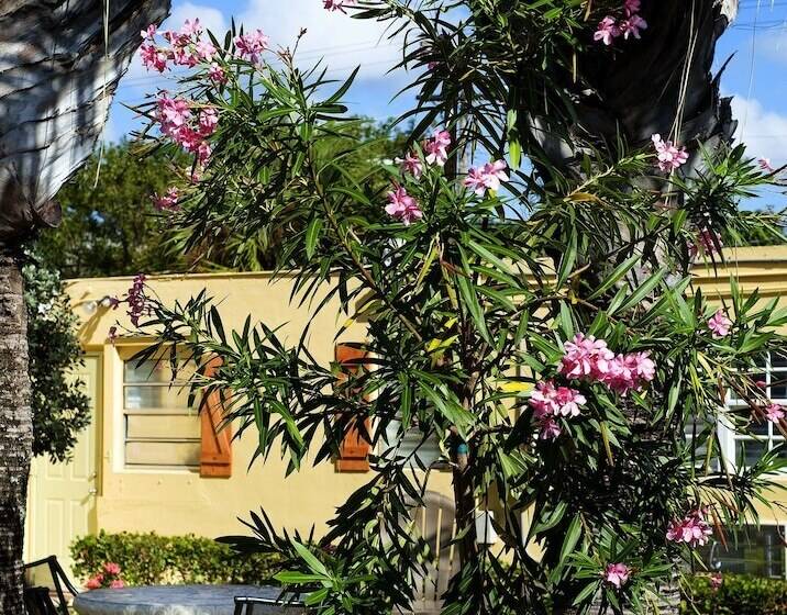 فندق فئة نجمة واحدة Atlantic Hideaway