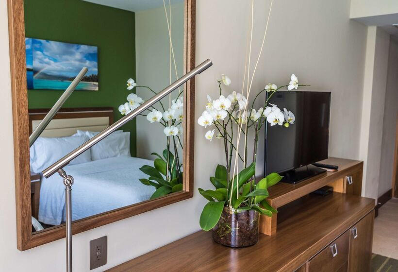 Fotos del hotel Hampton By Hilton Santo Domingo Airport:  82