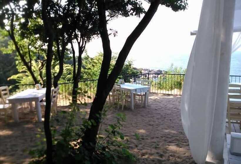 هتل Paradise Bay