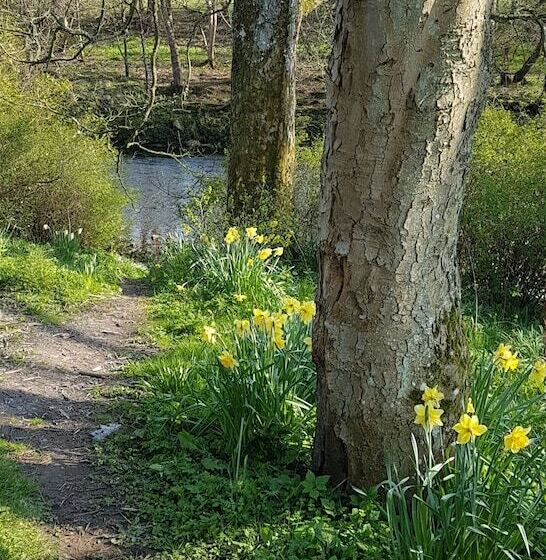 ホテル Bay Horse Inn   B&b