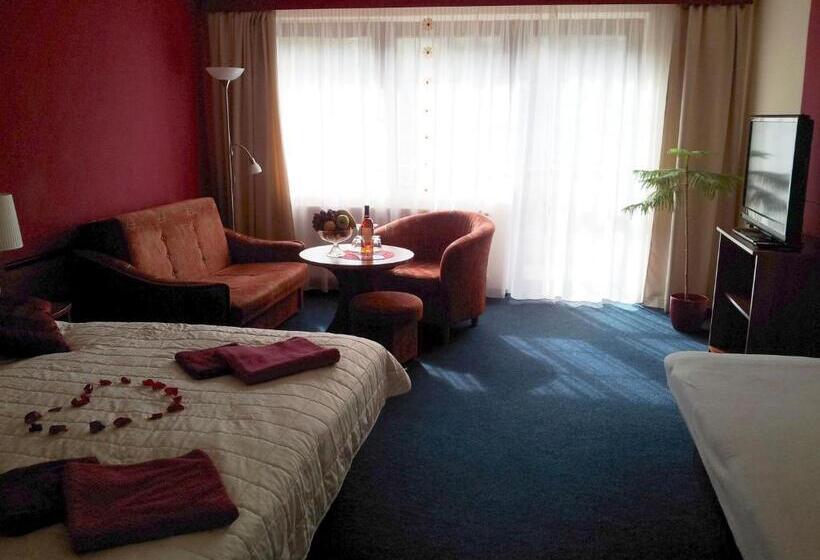 هتل Centrum Harrachov