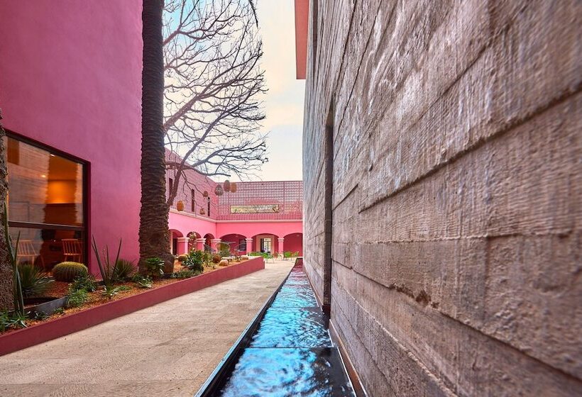 Fotos del hotel City Centro Oaxaca:  6