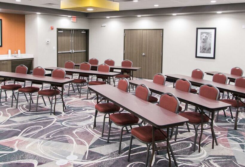 هتل Hampton Inn & Suites Amarillo East