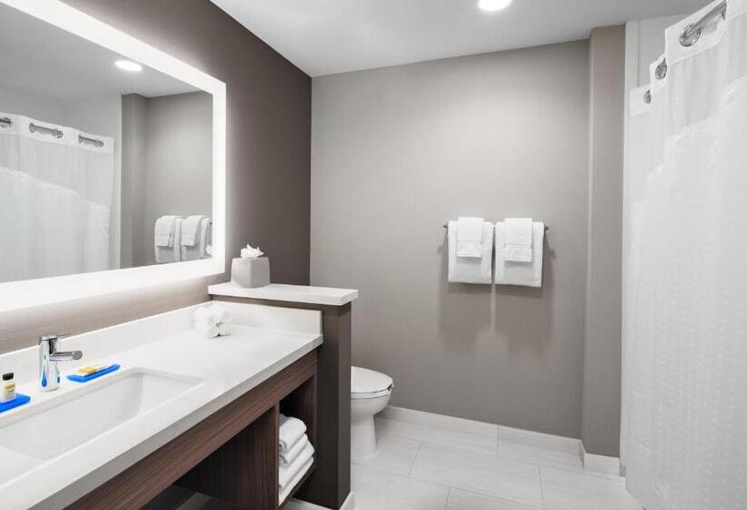 فندق Holiday Inn Express & Suites Lubbock Central   Univ Area, An Ihg