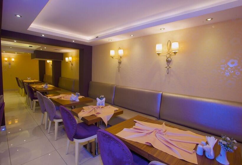 Fotos del hotel Laleli Emin:  43