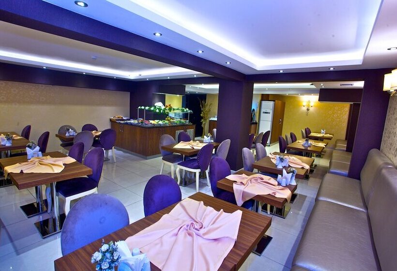 Fotos del hotel Laleli Emin:  29