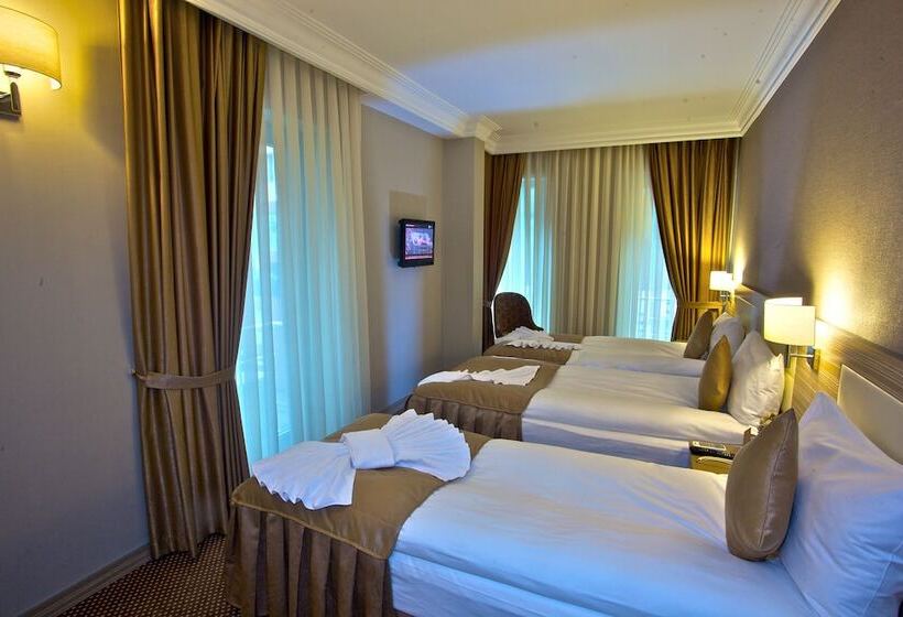 Fotos del hotel Laleli Emin:  39