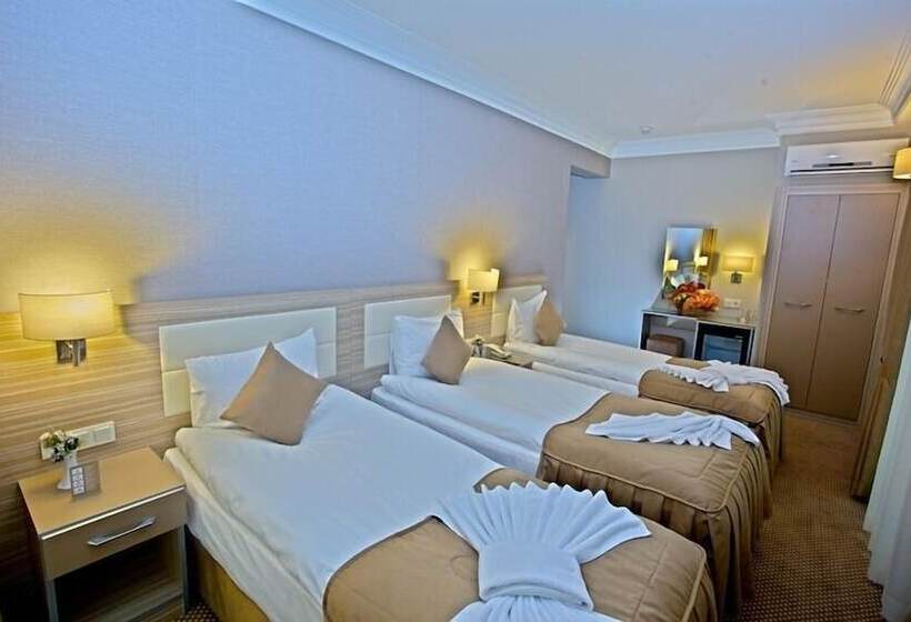 Fotos del hotel Laleli Emin:  48