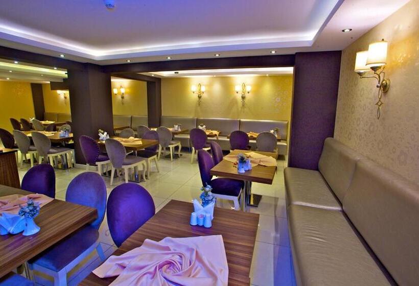 Fotos del hotel Laleli Emin:  31