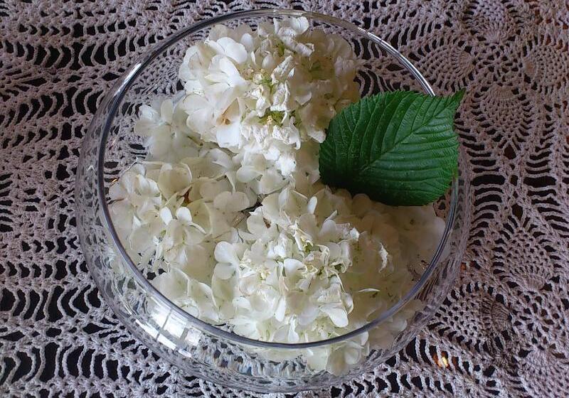 فندق Musashiya