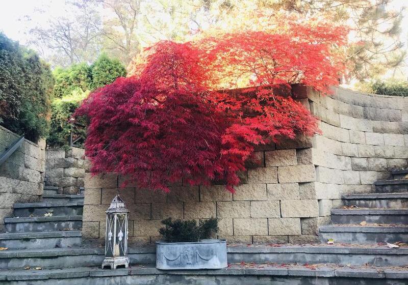 Fotos del hotel Peko:  34