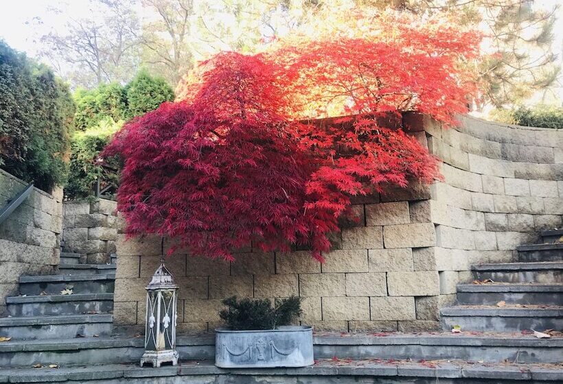 Fotos del hotel Peko:  54