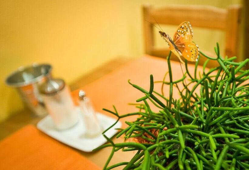 פנסיון Penzion Delanta