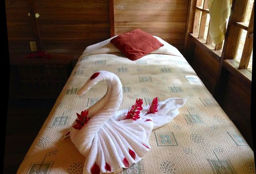 استراحتگاه Samasati Retreat And Rainforest Sanctuary