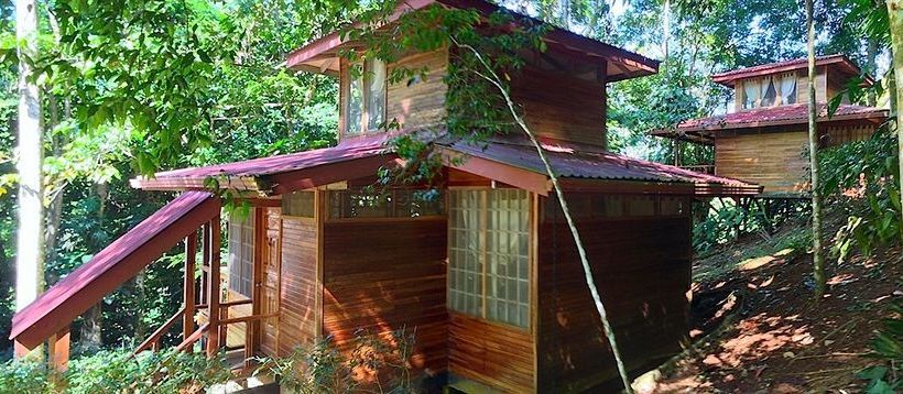 استراحتگاه Samasati Retreat And Rainforest Sanctuary