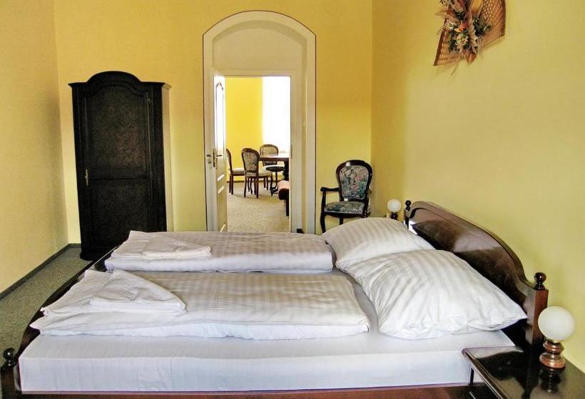 پانسیون U Salzmannů