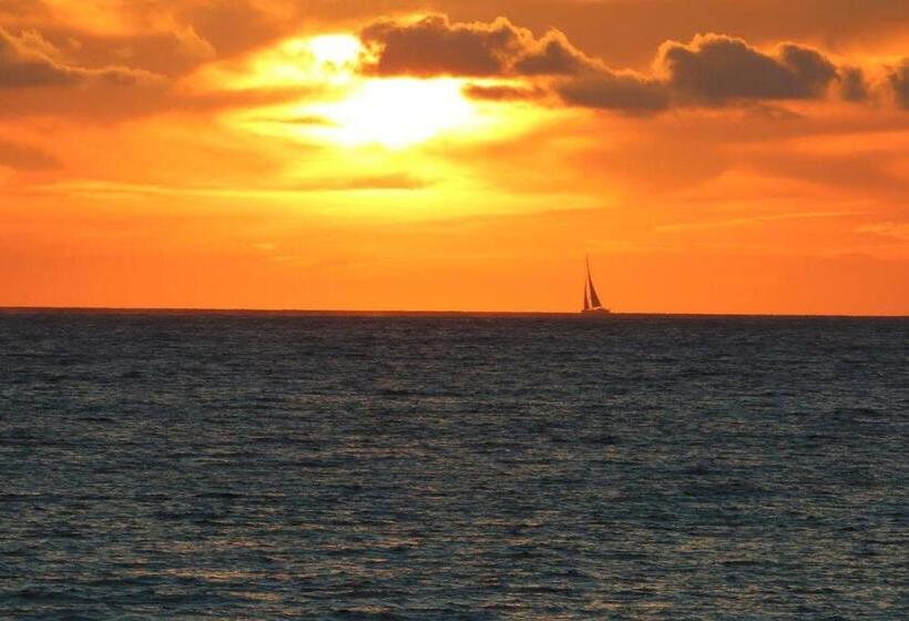 酒店 Lido Paradiso Resort