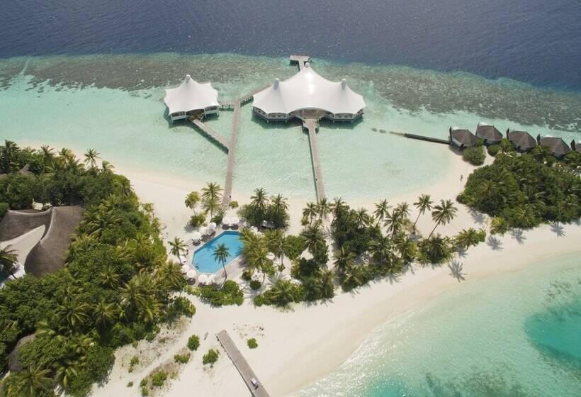 هتل Safari Island