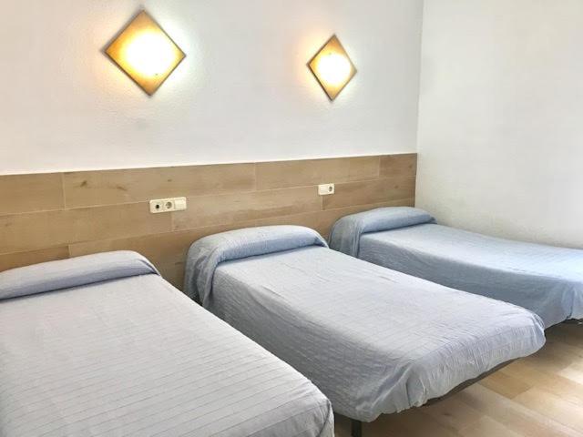 הוסטל Hostal Casa Torrent