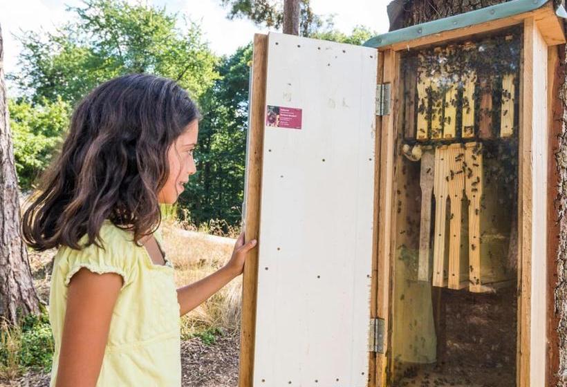 호텔 Landal Sonnenberg