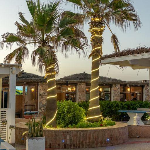 تختخواب و صبحانه Mimid Dunes Beach