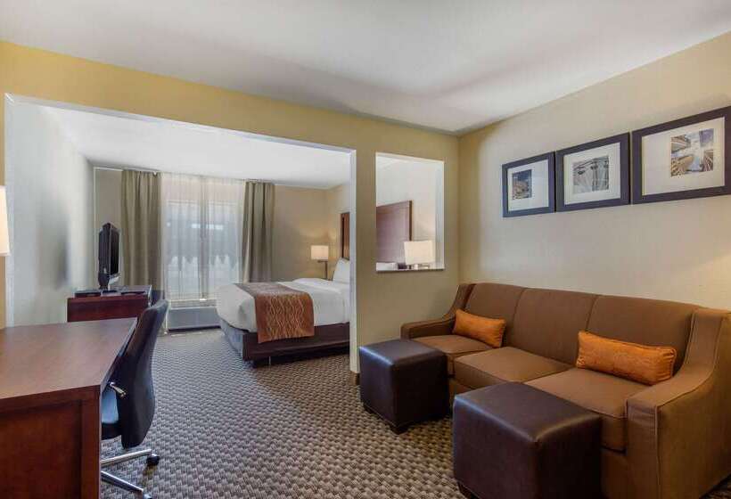 Fotos del hotel Comfort Inn & Suites Sw Houston Sugarland:  67