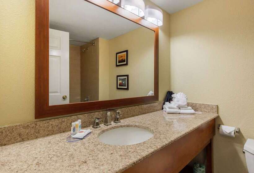 Fotos del hotel Comfort Inn & Suites Sw Houston Sugarland:  52