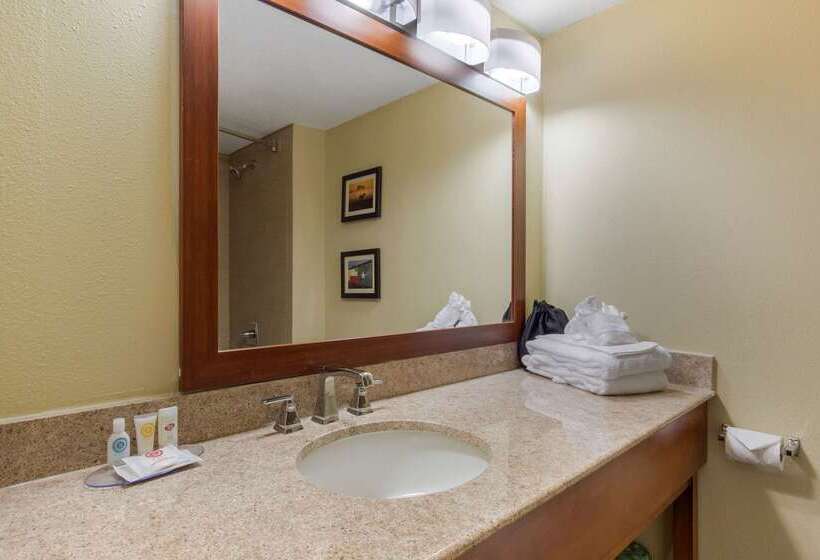 Fotos del hotel Comfort Inn & Suites Sw Houston Sugarland:  54