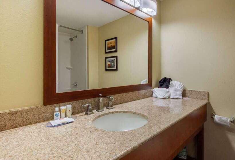 Fotos del hotel Comfort Inn & Suites Sw Houston Sugarland:  64