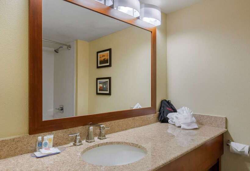 Fotos del hotel Comfort Inn & Suites Sw Houston Sugarland:  84