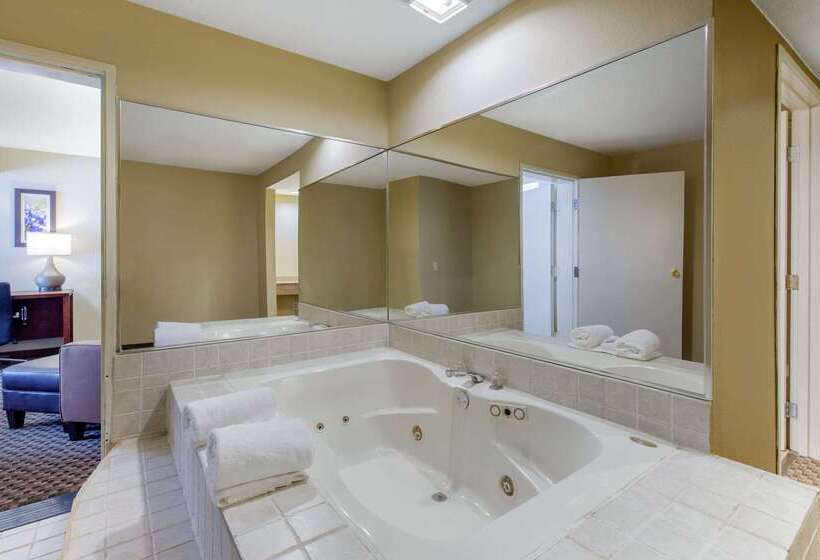 Fotos del hotel Comfort Inn & Suites Sw Houston Sugarland:  65