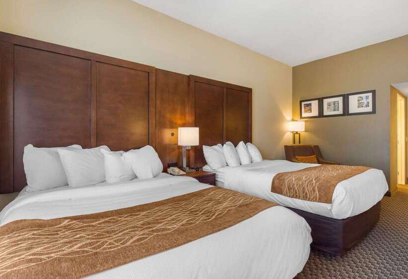 Fotos del hotel Comfort Inn & Suites Sw Houston Sugarland:  30